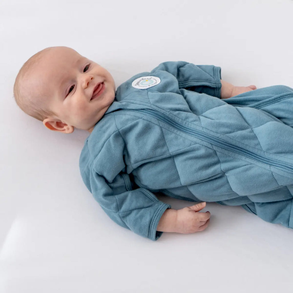 Dream Weighted Transition Swaddle Dreamland Baby