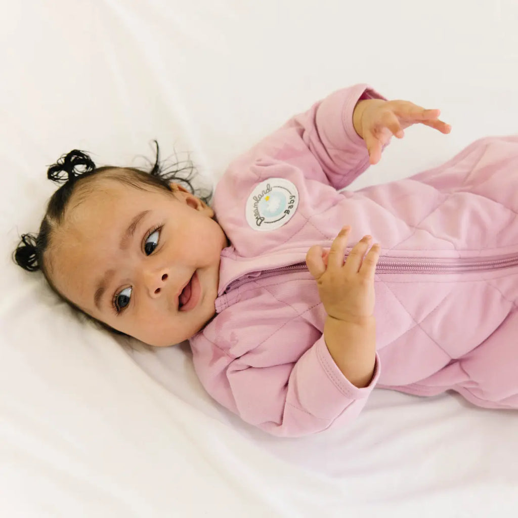 Dream Weighted Transition Swaddle Dreamland Baby