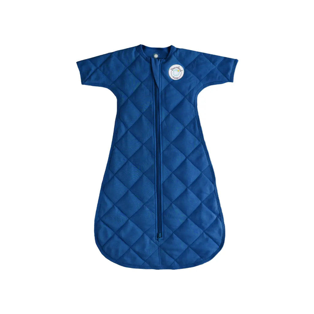 Dream Weighted Transition Swaddle Dreamland Baby