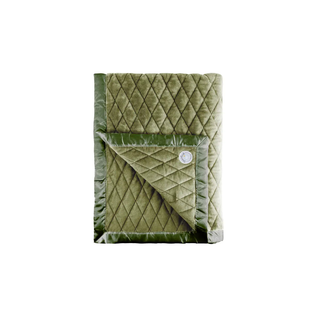 Weighted Toddler Blanket Dreamland Baby