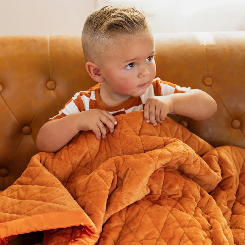 Weighted Toddler Blanket Dreamland Baby