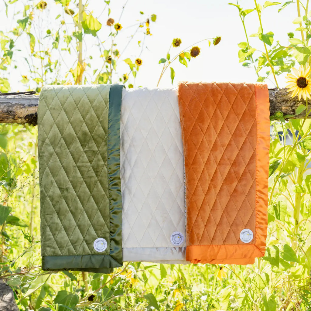 Weighted Toddler Blanket Dreamland Baby