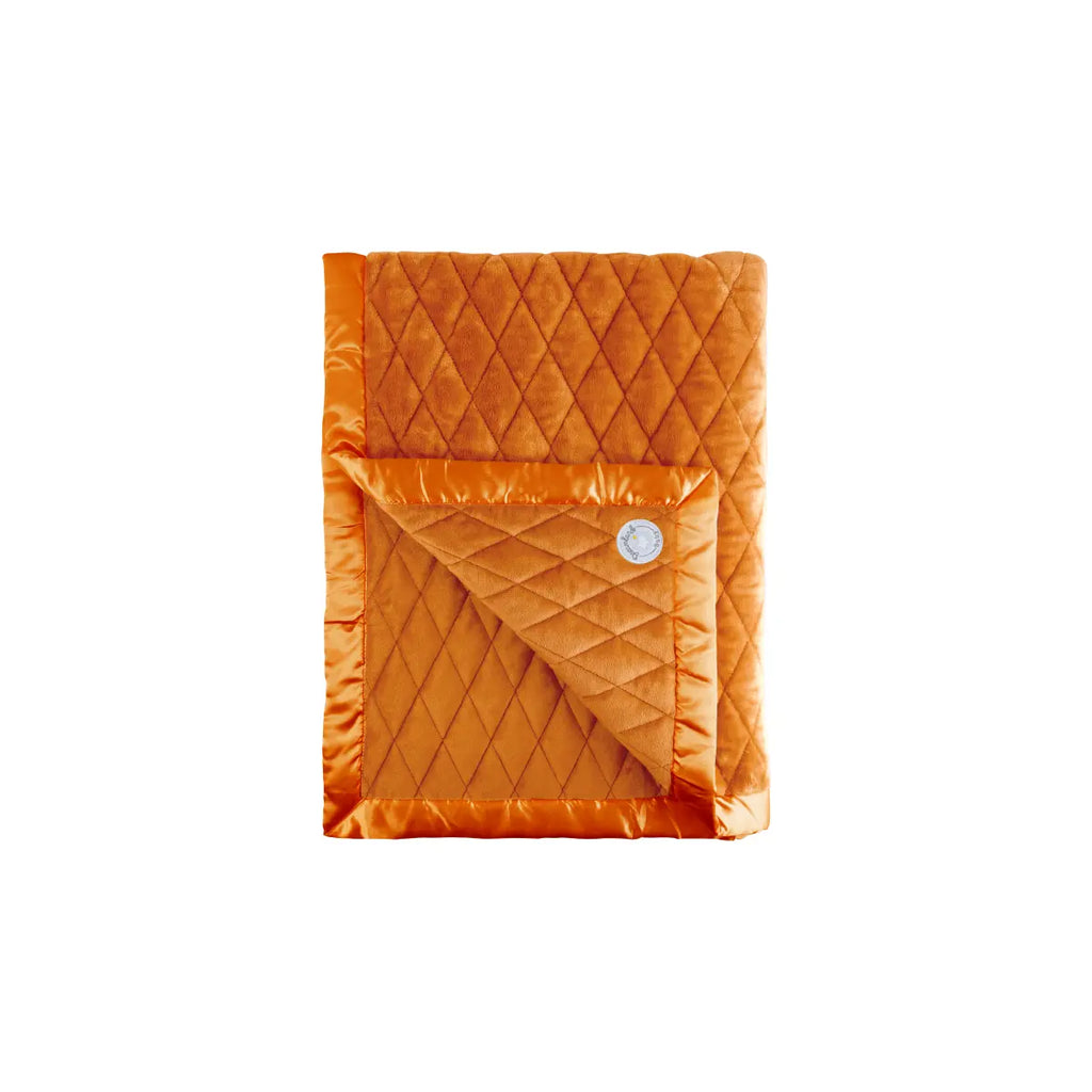 Weighted Toddler Blanket Dreamland Baby